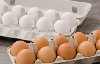 با گران فروشی مرغ و تخم مرغ برخورد می‌شود