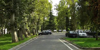 زمین متری ۲۰۰ هزار تومانی در نیاوران