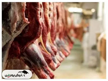 قیمت اصلی گوشت قرمز اعلام شد