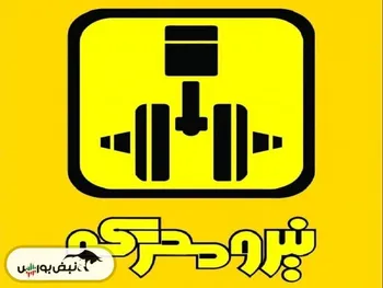 کدال تمحرکه | برای هر سهم چقدر سود ساخت؟