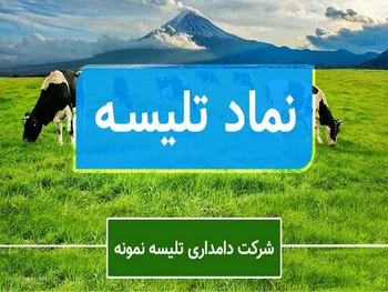 تلیسه مجمع برگزار می کند