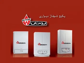 بوتان برای هر سهم چقدر سود ساخت؟