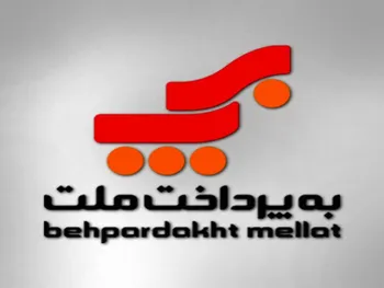 بررسی صورت مالی سالانه پرداخت