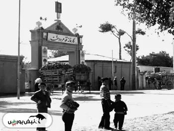 یک خانواده سهامدار عمده حقیقی قمرو | این خانواده چه سهام دیگری دارند؟