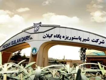 تحلیل گزارش ماهانه یک نماد لبنی/ تولید و فروش غگیلا در سال ۹۹ چگونه بود؟