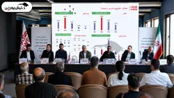 گزارش مجمع های‌وب ۱۴۰۵ | از زیان و چالش مالیاتی تا اعتراض سهامداران به افزایش سرمایه های وب