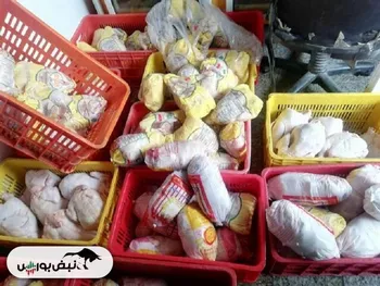 وضعیت بازار مرغ در آخرین روز ۱۴۰۲