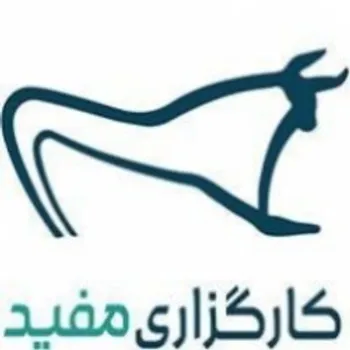 شاهکاری دیگر از کارگزاری مفید/چرا مانده سهامداران مفید منفی است؟ | صدای سهامدار