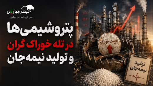 پتروشیمی‌ها در تله خوراک گران و تولید نیمه‌جان