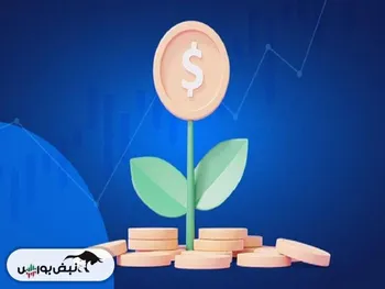 ۱۳ نماد‌ پتروشیمی چقدر سود به سهامداران خود دادند؟ | کدام نماد سود کمتر و کدام نماد سود بیشتری محقق نمود؟