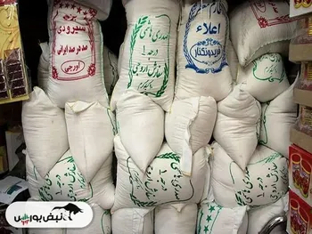 قیمت انواع برنج ایرانی، هندی و پاکستانی در بازار