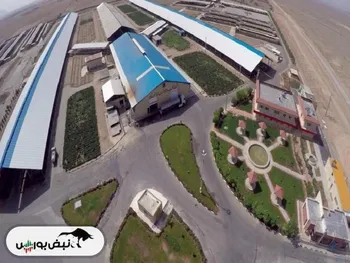 گزارش هیئت مدیره فروس و زگلدشت به مجمع عمومی | از کاهش سود ۷۱ درصدی تا انجام افزایش سرمایه در این دو نماد