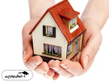 تسه چیست؟ | چرا تسه به بیش از ۱۰۰ هزار تومان رسید؟