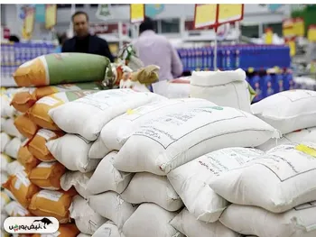 قیمت هر کیلو برنج مرغوب در استان‌های شمالی ۳۸۰ هزار تومان