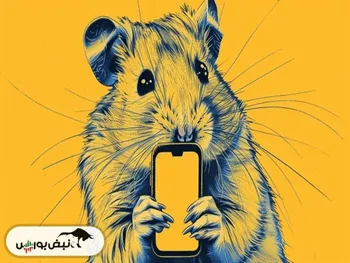 کارت‌های امروز همستر ۵ شهریور + آموزش وارد کردن