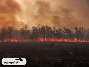 همه چیز اقتصاد نیست | جهان در حال تغییر؛ خطری که جان همه ما را تهدید می کند