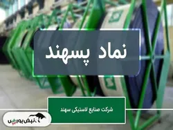 کیفیت پایین سود در پسهند | آیا تغییر مدیر عامل حاصلی دارد؟