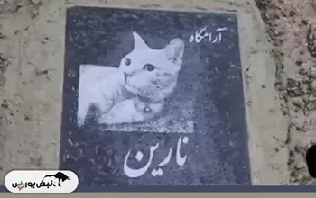 فیلم قبرستان حیوانات خانگی در ایران!