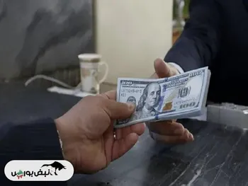 دلیل اصلی دولت برای حذف ناگهانی ارز ترجیحی چه بود؟