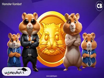 کارت‌های همستر امروز ۷ شهریور + آموزش وارد کردن