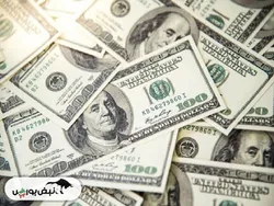 صدای  اتحادیه گیاهان دارویی درامد