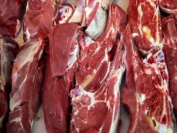 قیمت گوشت قرمز امروز ۹ اسفند ۱۴۰۴