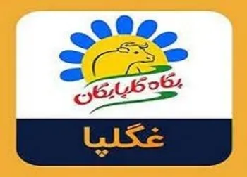 دلیل تغییر وضعیت نماد غگلپا چیست؟