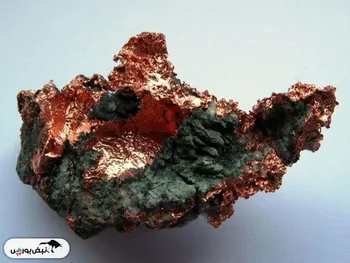 فرصت طلایی برای سهامداران فملی، فباهنر، کچاد، کگل و کنور