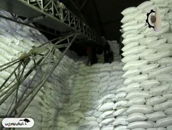 قندی که به کام سهامداران شیرین نیامد | قمرو در ۶ ماهه چه کرد؟