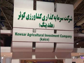 گزارش فعالیت دوره ۱ ماهه زکوثر منتشر شد