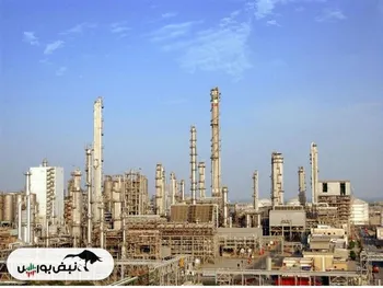 اوضاع و احوال آروماتیک ساز‌ها بررسی شد | نوری بهتر بود یا بوعلی؟