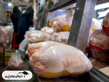 قیمت مرغ شنبه ۴ بهمن ۱۴۰۴