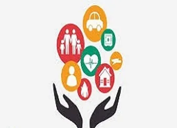 مروری بر عملکرد یک ساله  ما 