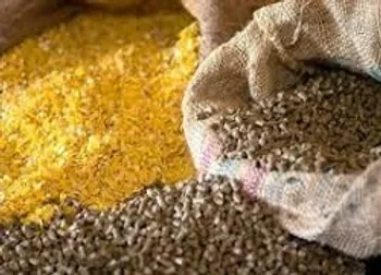 غدام افشای اطلاعات زد