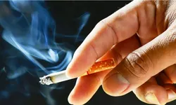 مالیات سیگار و تنباکو کجا خرج می شود؟