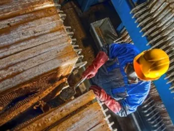 فگستر در سال ۹۹ چه عملکردی داشت؟ | این نماد چقدر سود توزیع کرد؟