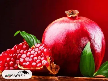یارانه یلدایی واریز می شود؟