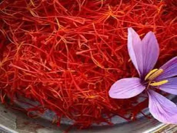 نهال بدون سود ماند