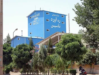 بالاترین فروش این نماد در دی ماه ثبت شد