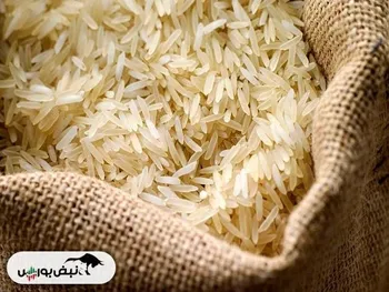 رسما قیمت برنج هندی در بازار ۲ برابر شد