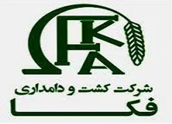 سود هر سهم زکفا چقدر شده است؟