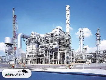 شاملا رکورد فروش را جابجا کرد | شیران بهترین عملکرد فروش را در این گروه ثبت کرد | شرنگی و شملی ناامیدکننده بودند