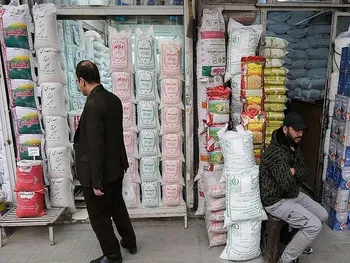 قیمت جدید برنج ایرانی