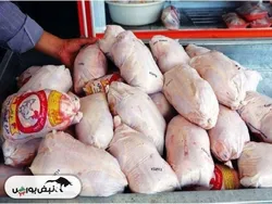 اطلاعیه جدید وزارت جهاد کشاورزی / قیمت مرغ و تخم مرغ کاهشی می‌شود؟