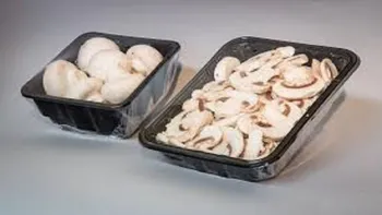 قیمت انواع قارچ در بازار