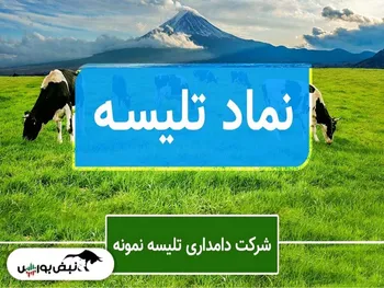تحلیل تلیسه امروز ۲۲ آبان ۱۴۰۱ | ۵۰۰ تومان را به خود خواهد دید؟