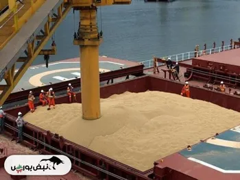 آخرین وضعیت واردات نهاده‌های دامی در بنادر کشور