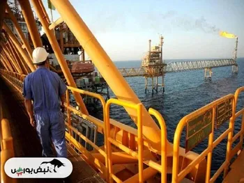 نرخ خوراک گاز پتروشیمی ها چگونه تعیین می شود؟