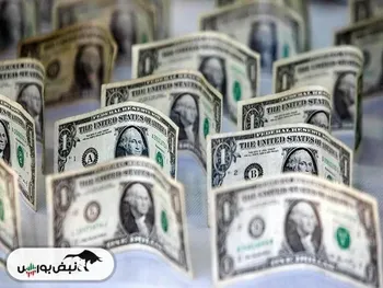 سفره‌ی مردم در تیررس موج جدید گرانی | ترمز قیمت دلار کشیده می‌شود؟