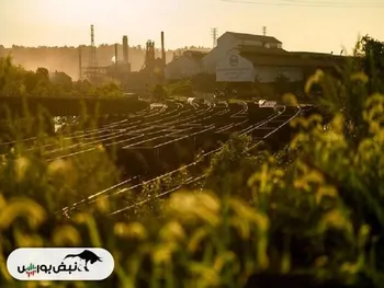 بدترین سال برای صنعت فولاد آمریکا